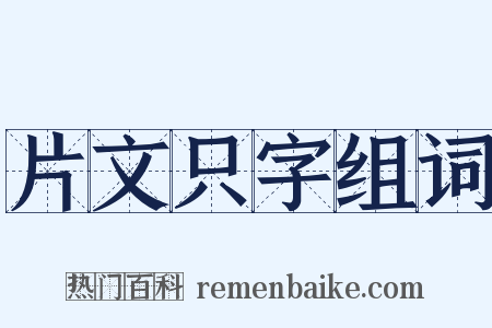 片文只字组词是什么意思的图片